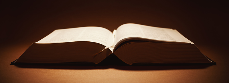 Swimming Pool glossary